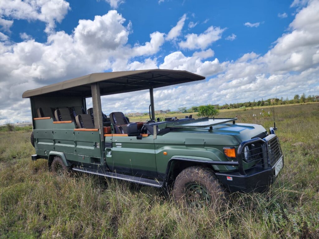 tourist jeep by zuru tena
