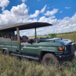 tourist jeep by zuru tena