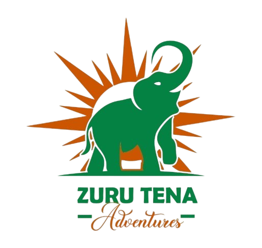 Zuru Tena Adventures Logo