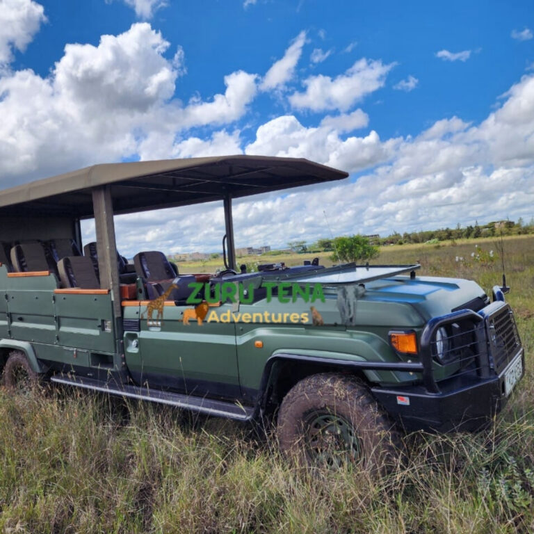 zuru tena adventures tour jeep